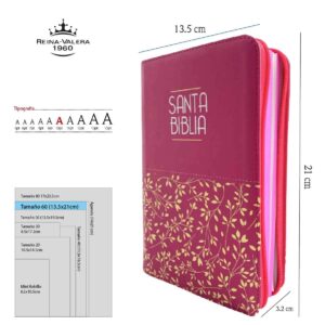 Biblias Reina Valera 60 – Color Fucsia- Ayudas digitales – Letra grande