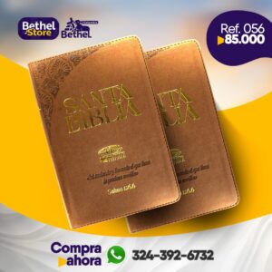 Biblia Personalizada letra Grande Café