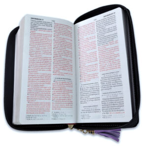 Biblia Tipo Chequera Morado-Negro